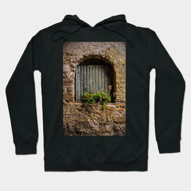 Window in Poffabro, North East Italy Hoodie by jojobob